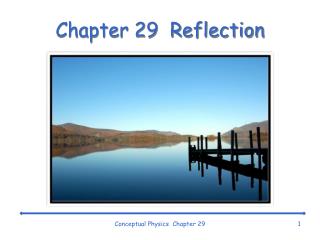 Chapter 29 Reflection