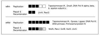 Replication