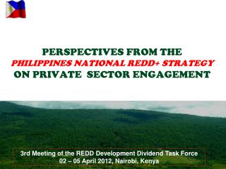 PERSPECTIVES FROM THE PHILIPPINES NATIONAL REDD+ STRATEGY ON PRIVATE SECTOR ENGAGEMENT