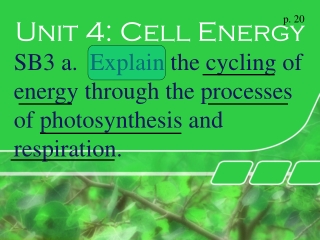 Unit 4: Cell Energy