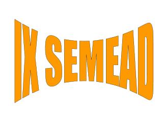 IX SEMEAD