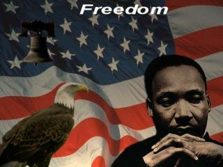 Term: Black Codes, anti-Misegenation