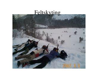 Feltskyting