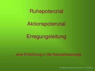 Ruhepotenzial Aktionspotenzial Erregungsleitung … eine Einführung in die Neurophysiologie