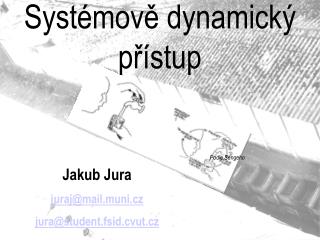 Systémově dynamický přístup