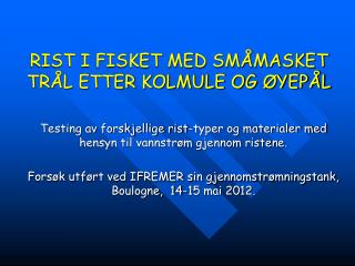 RIST I FISKET MED SMÅMASKET TRÅL ETTER KOLMULE OG ØYEPÅL