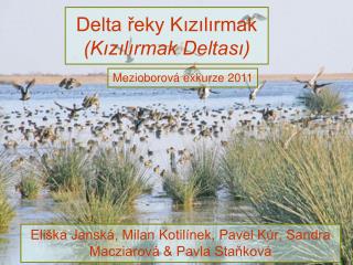 Delta řeky Kızılırmak (Kızılırmak Deltası)