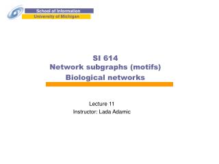 SI 614 Network subgraphs (motifs) Biological networks