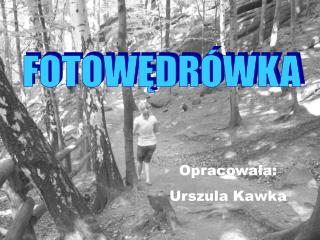 FOTOWĘDRÓWKA