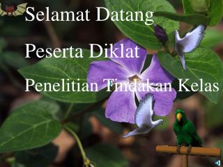 Selamat Datang Peserta Diklat Penelitian Tindakan Kelas