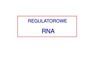 REGULATOROWE RNA