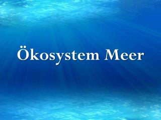 Ökosystem Meer