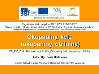 Okopaniny, kvíz (okopaniny, obilniny)