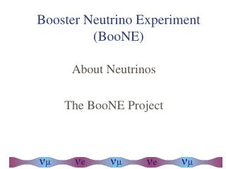 Booster Neutrino Experiment (BooNE)
