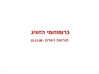 כרומוזומי הזוויג תורשת האדם 13.11.08 -