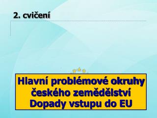 Hlavní problémové okruhy českého zemědělství Dopady vstupu do EU