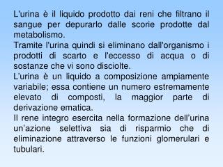 Il campo di indagine offerto dall'analisi delle urine è vastissimo e complesso.