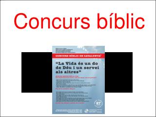 Concurs bíblic