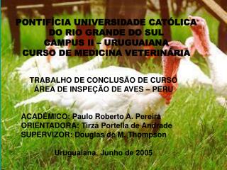 TRABALHO DE CONCLUSÃO DE CURSO ÁREA DE INSPEÇÃO DE AVES – PERU ACADÊMICO: Paulo Roberto A. Pereira