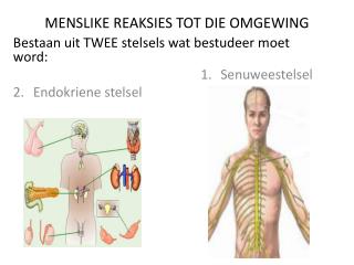 MENSLIKE REAKSIES TOT DIE OMGEWING