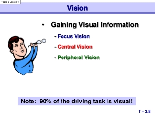 Gaining Visual Information - Focus Vision - Central Vision - Peripheral Vision