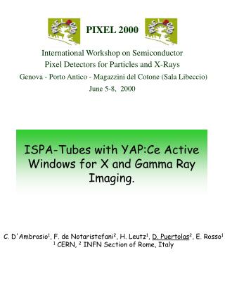 ISPA-Tubes with YAP:Ce Active Windows for X and Gamma Ray Imaging.
