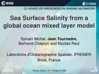 Sea Surface Salinity from a global ocean mixed layer model