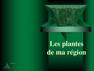 Les plantes de ma région