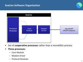 SeaLinx Software Organization