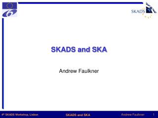 SKADS and SKA