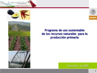 Programa de uso sustentable de los recursos naturales para la producción primaria