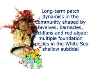 Facilitation by foundation species shapes many terrestrial and benthic communities