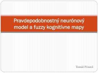 Pravdepodobnostný neurónový model a fuzzy kognitívne mapy