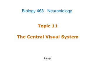 Topic 11 The Central Visual System Lange