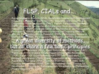 FLSP, CIALs and….