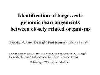 Identification of large-scale genomic rearrangements between closely related organisms