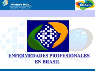 ENFERMEDADES PROFESIONALES EN BRASIL