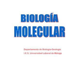 Departamento de Biología-Geología I.E.S. Universidad Laboral de Málaga