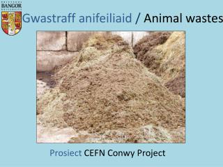 Gwastraff anifeiliaid / Animal wastes