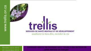 Trellis MENTAL HEALTH AND DEVELOPMENTAL SERVICE