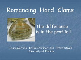 Romancing Hard Clams