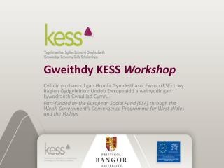 Gweithdy KESS Workshop