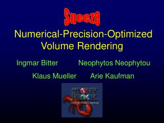 Numerical-Precision-Optimized Volume Rendering