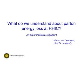 What do we understand about parton energy loss at RHIC?