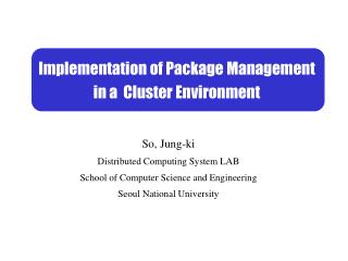 Implementation of Package Management in a Cluster Environment