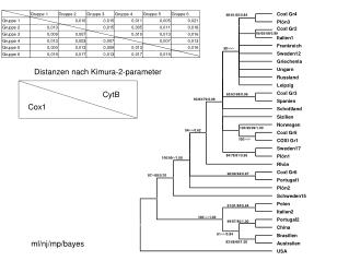 ml/nj/mp/bayes