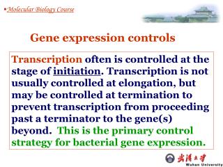 Molecular Biology Course