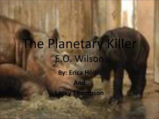 The Planetary Killer E.O. Wilson