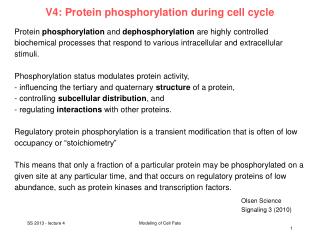 V4: Protein phosphorylation during cell cycle