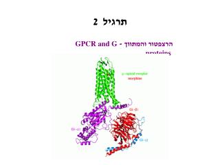 תרגיל 2